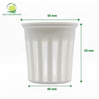 Bộ 50 rọ nhựa thuỷ canh không vành đường kính lỗ khoét 50mm