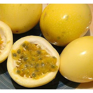 3 Hạt Giống Chanh Dây Vàng Peru siêu Ngọt