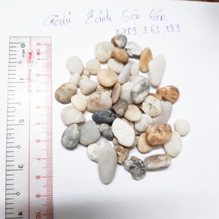 Đá Sỏi Cỡ Đầu Ngón Tay Nhiều Màu Trang Trí Vườn Sân Nhà Tiểu Cảnh