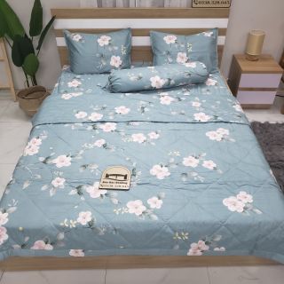 Bô chăn ga vỏ gối cotton Hàn Quốc 1m6, khổ vải to không nối