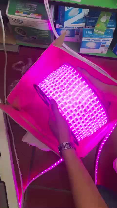 💥Giá Sỉ💥 Đèn LED Dây Đôi 2835- 2 Hàng/3 hàng - Siêu sáng - Chống nước  dùng quấn cây, trang trí lễ hội | BigBuy360 - bigbuy360.vn