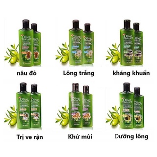Sữa tắm olive essence dành cho chó – mèo