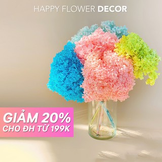 Hoa cẩm tú cầu khô 50g Happy flower decor xinh xắn trang trí nhà cửa, phòng ngủ