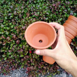[Bao Bể Vỡ] Chậu Đất Nung Trồng Sen Đá 9x5cm