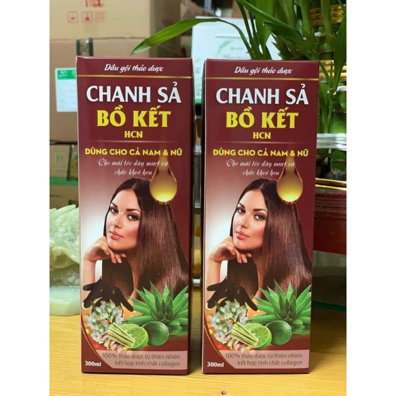 Dầu gội bồ kết xả chanh và bồ kết hoa bưởi