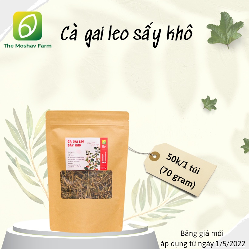 Cà gai leo sấy khô The Moshav farm - gói 70g