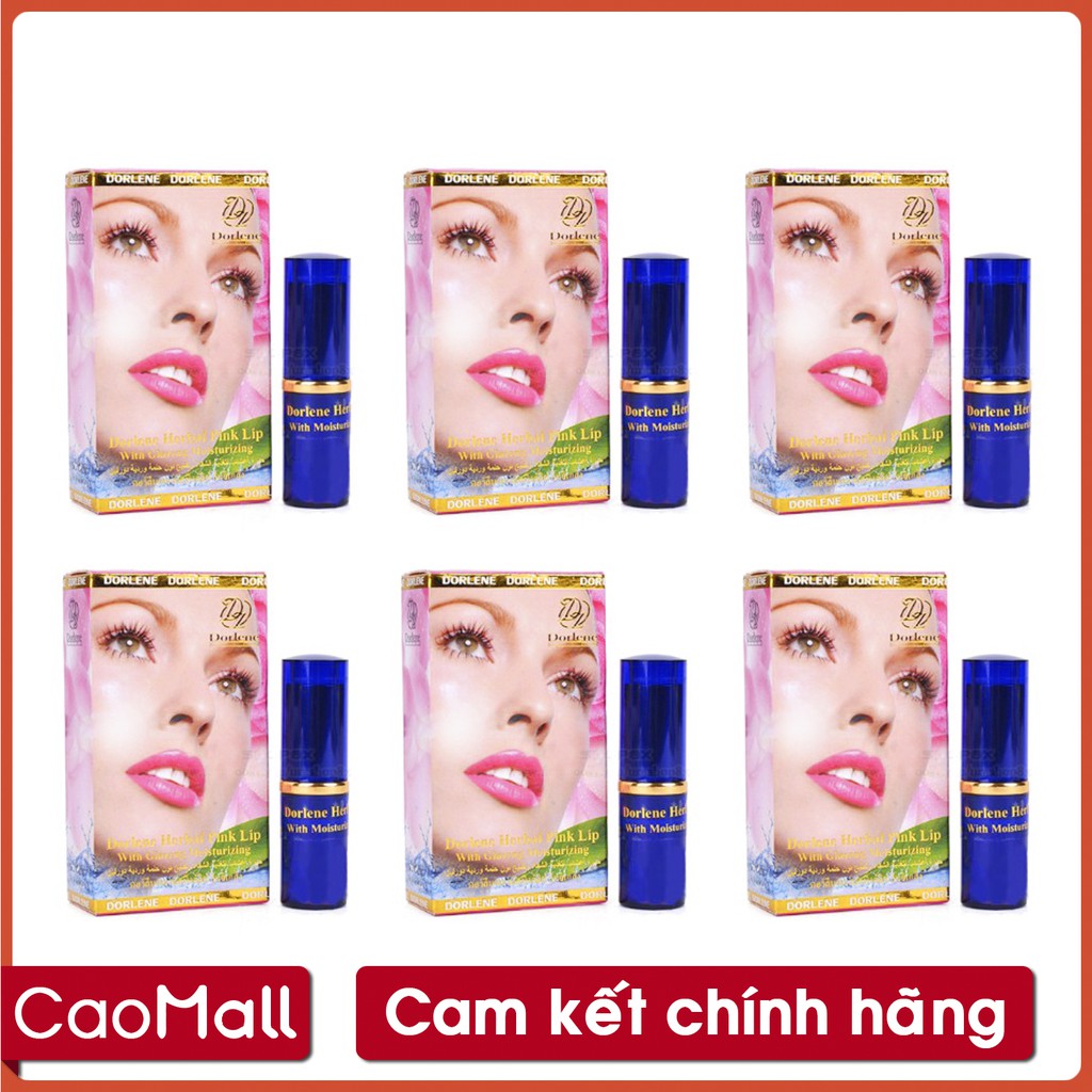 Bộ 6 Son sâm DORLENE HERBAL PINK LIP Thái Lan lên màu đẹp tự nhiên giúp ngăn ngừa thâm môi hiệu quả, giúp môi hồng hào