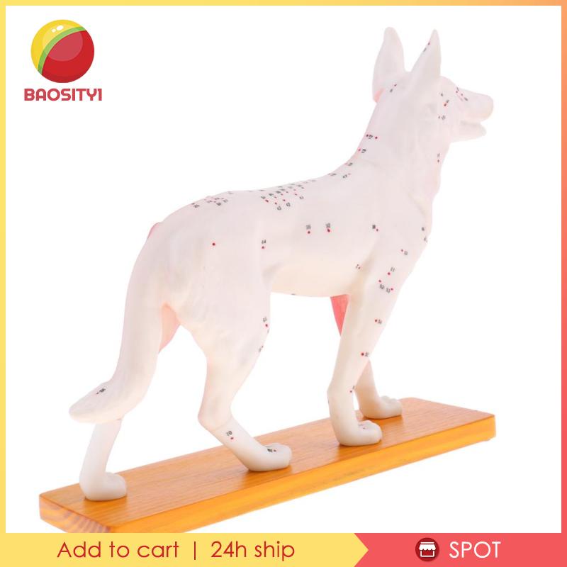 Bộ Dụng Cụ Học Tập Cho Cún Cưng [Baosity] [Baosity]