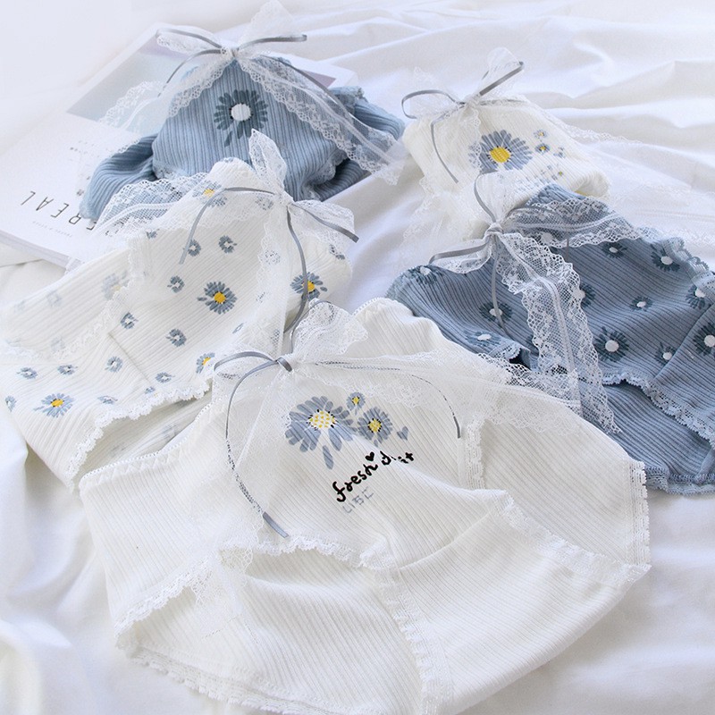 Quần Lót Nữ Cotton Cúc Họa Mi Xuất Hàn  Hàng Loại Đẹp.