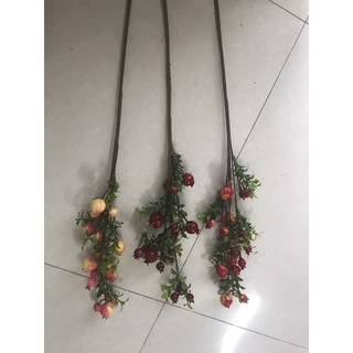 hoa giả,lựu nhỏ