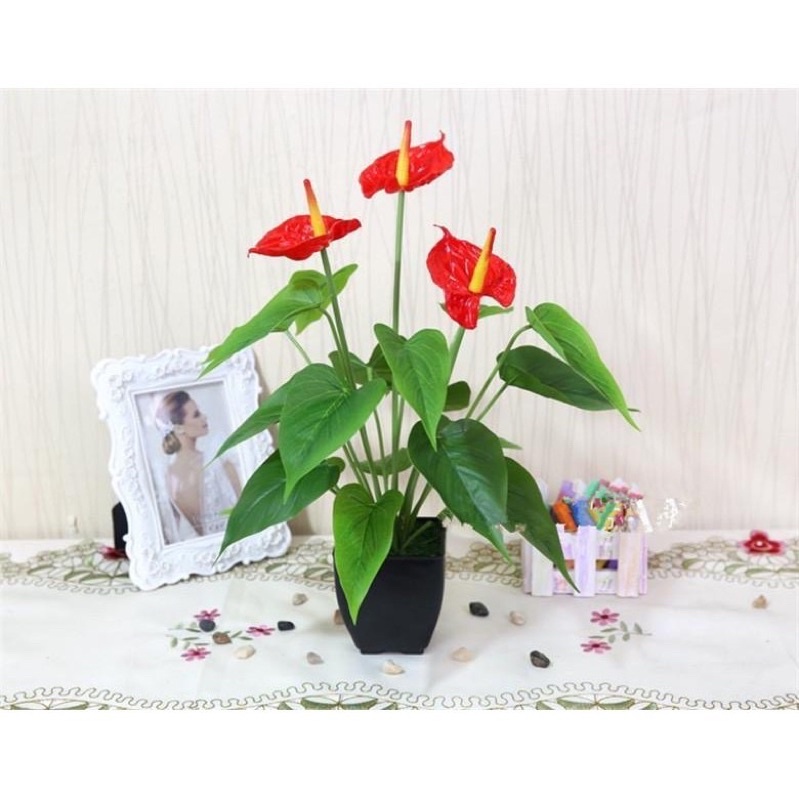 Cây giả - Cây Hoa Lan Ý (Hồng môn) Cao Su 3 bông 18 lá