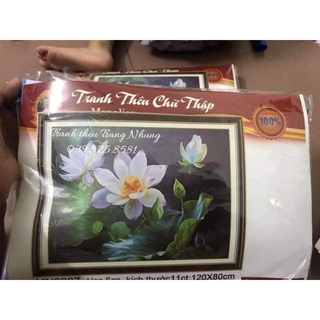 Tranh thêu chữ thập Hoa Sen trắng MN0206-07