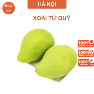 [HN] Xoài Tứ Quý Quả To - ShopeeFarm
