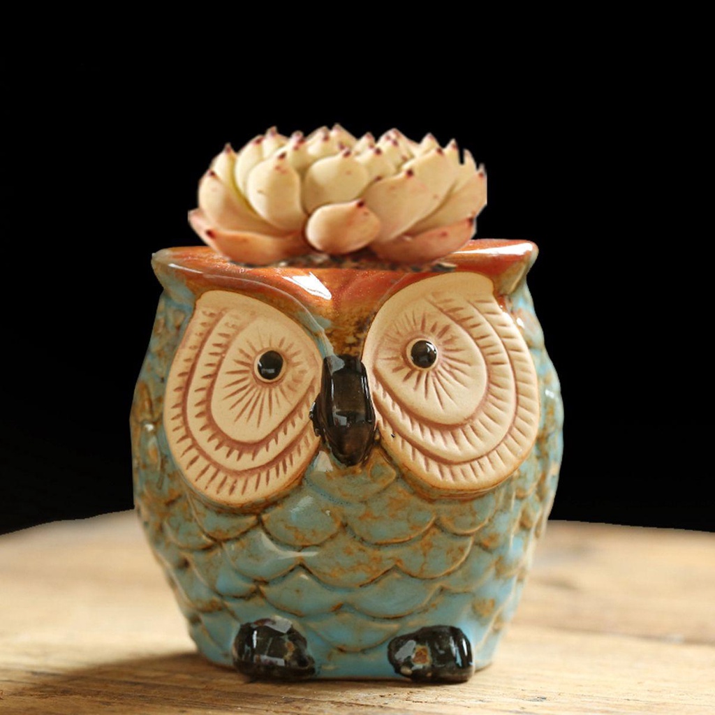 YIYU Chậu Cây Cảnh Bằng Gốm Sứ Dễ Thương Xinh Xắn