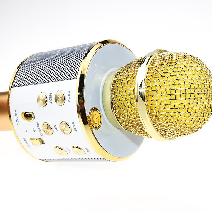 Micro Karaoke Bluetooth WS-858