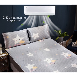 (Tặng kèm 2 vỏ gối) Chiếu điều hoà mùa hè chiếu mát thảm mát trải giường loại mới 2019 nhiều hoạ tiết nhã nhặn xinh xắn