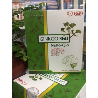 GINKGO 360 NATTO Q10