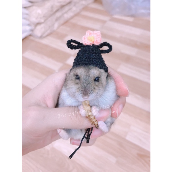 Mũ công chúa cho Hamster