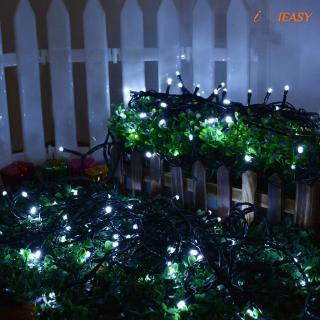 Dây 100 bóng đèn LED dùng trang trí