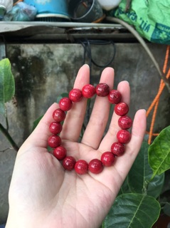 Vòng san hô đỏ giá rẻ