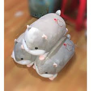 Chuột hamster có mền