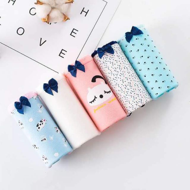 Quần chip cotton cute