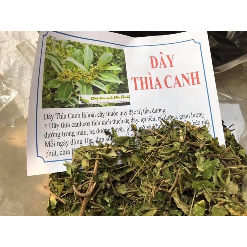 1Kg Dây thìa canh Hoà Bình lá to ổn định đường huyết (mới, khô, xanh, thơm)