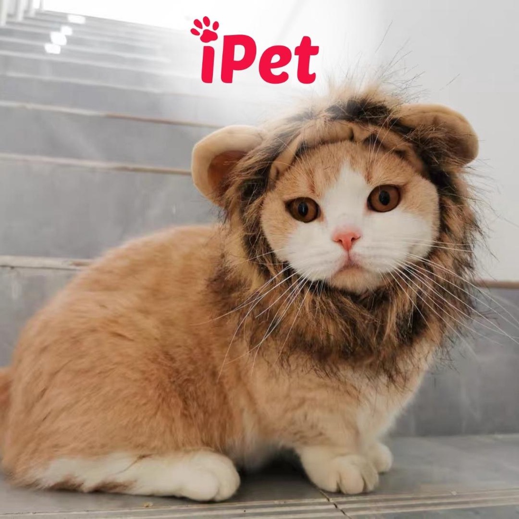 Nón Cho Chó Mèo Cosplay, Mũ Thú Cưng Dễ Thương - iPet Shop