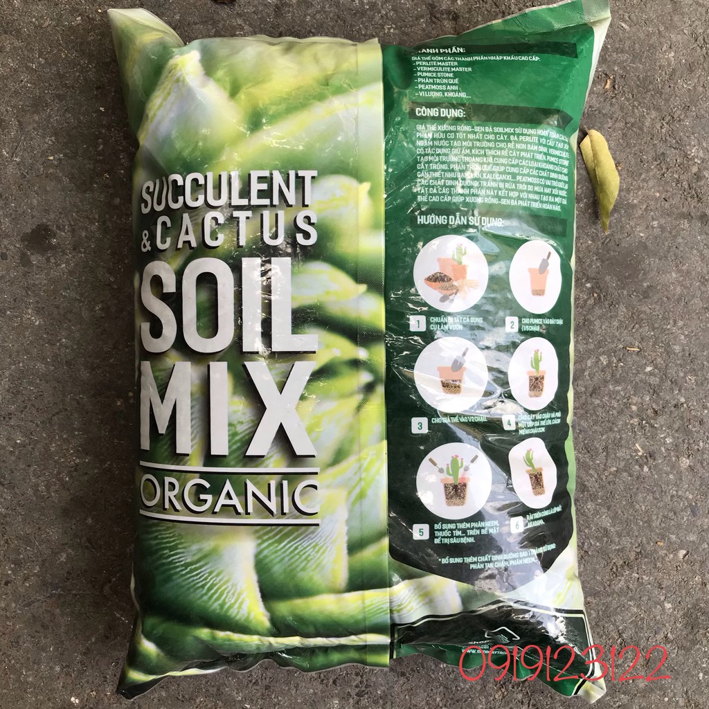 GÍA THỂ TRỒNG SEN ĐÁ, XƯƠNG RỒNG NHẬP KHẨU