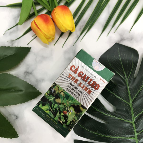 Cà Gai Leo Tuệ Linh (Hộp 60 viên) - Giúp Bảo Vệ Và Phục Hồi Tế Bào Gan - cvspharmacy