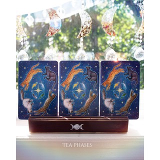 [Bài Oracle chính hãng] Bộ bài Everyday Witch Oracle