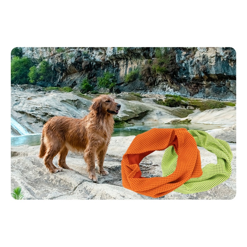 Lucky Khăn Choàng Cổ Bandana Làm Mát Lạnh Thoáng Khí Tạo Nhiệt Công Nghệ Mát Mẻ Cho Cún Cưng Trong Mùa Hè