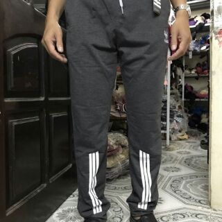 Quần thể thao adidas