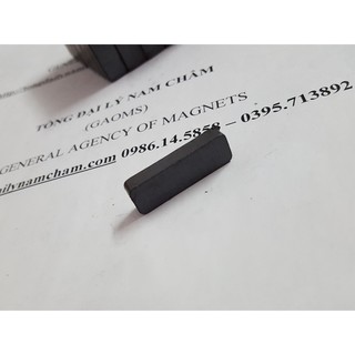 Nam châm Ferrite 30x10x5mm