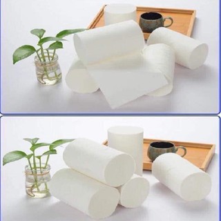 GIẤY VỆ SINH KHÔNG LÕI HÀNG NỘI ĐỊA TRUNG DÂY 10 CUỘN