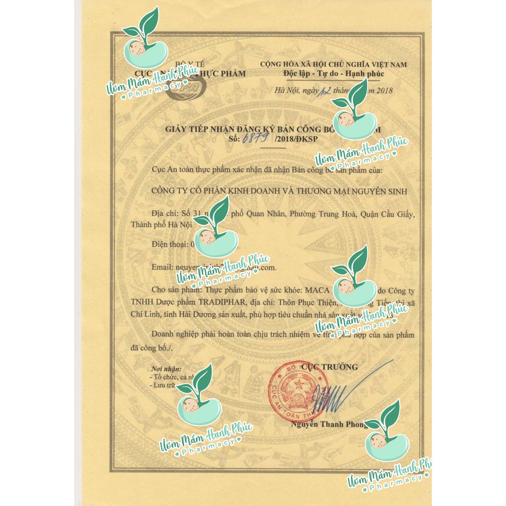 Maca  tăng thụ thai, hỗ trợ vô sinh hiếm muộn ở nam nữ