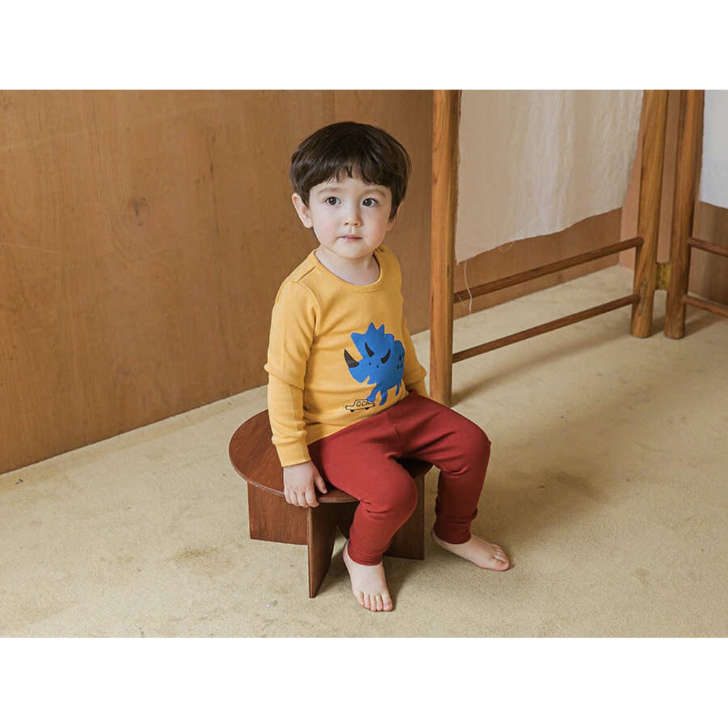 BỘ THU ĐÔNG DÀI TAY CAO CẤP TRẺ EM CỦA HÃNG CORDI-I, CHẤT THUN COTTON ORGANIC,MẪU KHỦNG LONG