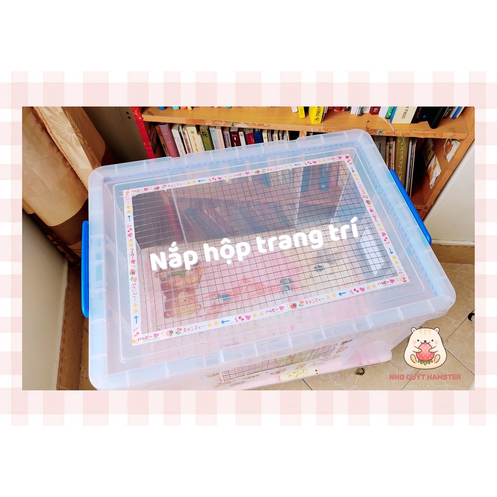 🍊 HỘP NHỰA 65L NUÔI HAMSTER 🍊