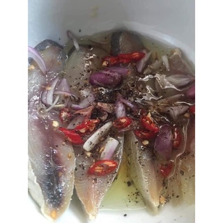 MẮM CÁ THU NGÂM DẦU {Takifood-500gr}