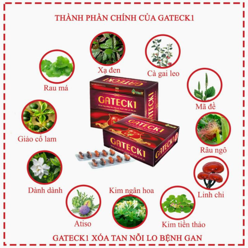 GATECK1 bổ gan hộp 30 viên - Gateck 1 Hỗ trợ giải độc gan, mát thận