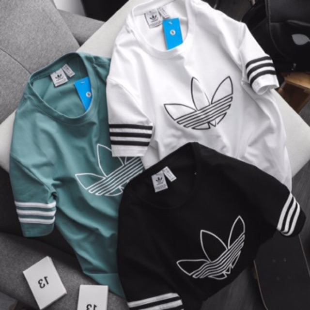 | Ảnh thật | Bộ Das Chất Cotton Co Dãn