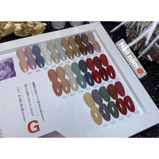 Set sơn gel 24 màu Burberry tặng bảng màu như hình - set G