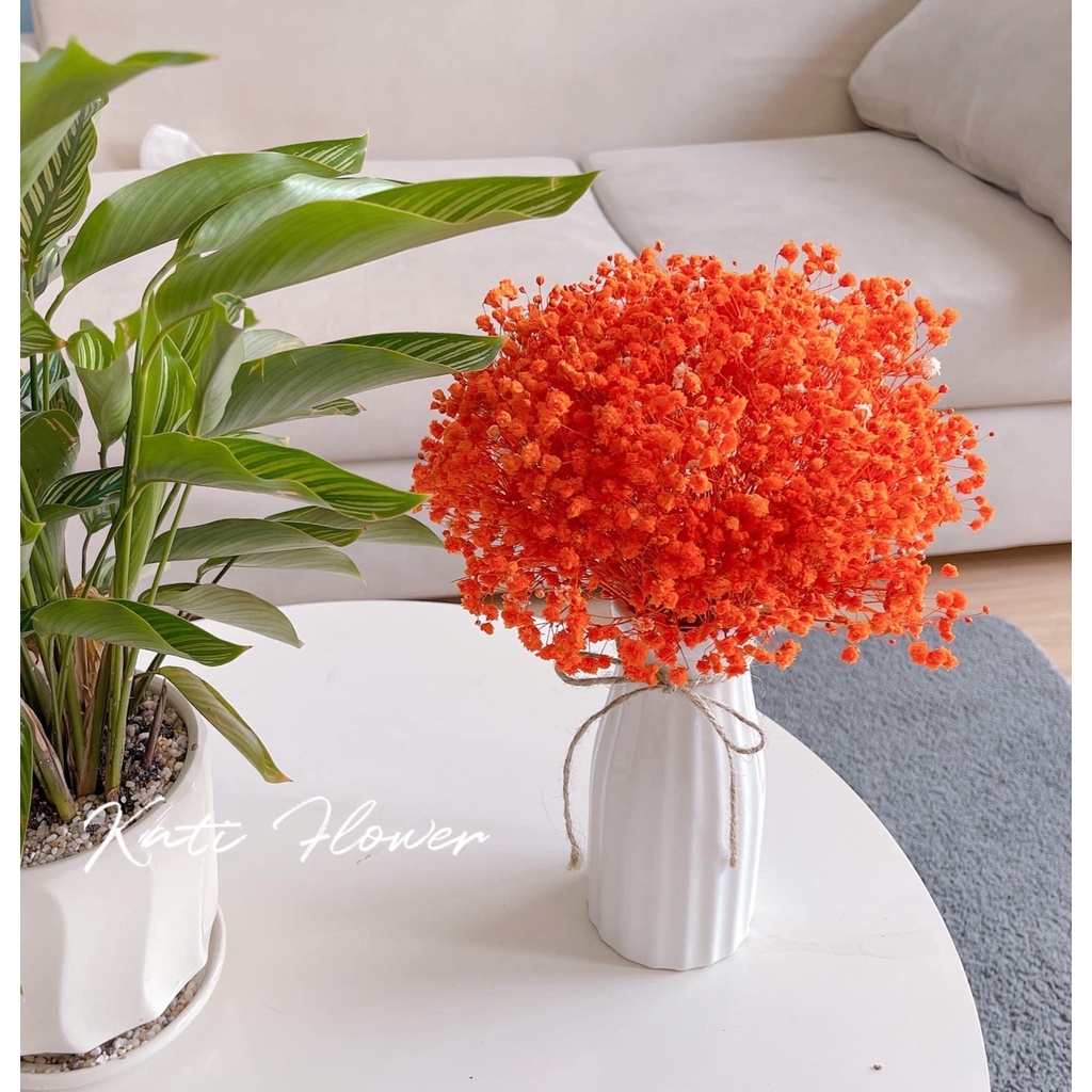 BÌNH GỐM - lọ hoa MINI - decor - gốm sứ bát tràng- hoa khô cao 17cm