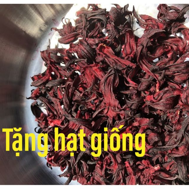 Trà Hoa Atiso đỏ, bụp giấm 100gram + Tặng 10 hạt giống Atiso đỏ | BigBuy360 - bigbuy360.vn