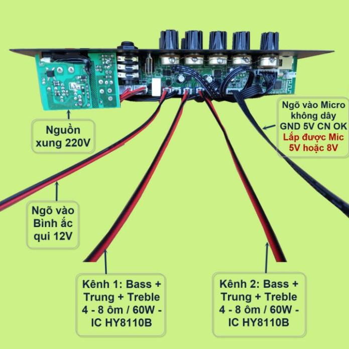Mạch loa kéo Livestream 2 kênh riêng biệt 2 IC HY8110B 60W + 60W DSP lập trình chống hú có nguồn xung 220V