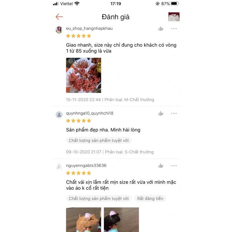 Cổ áo sơ mi rời cổ đức (cổ áo sơ mi giả cổ đức) | BigBuy360 - bigbuy360.vn