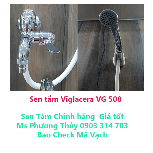 Sen tắm Viglacera VG-508