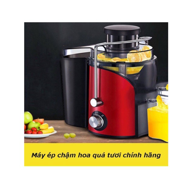 MÁY ÉP TRÁI CÂY TỐC ĐỌ CHẬM SAVTM CHÍNH HÃNG MS 100