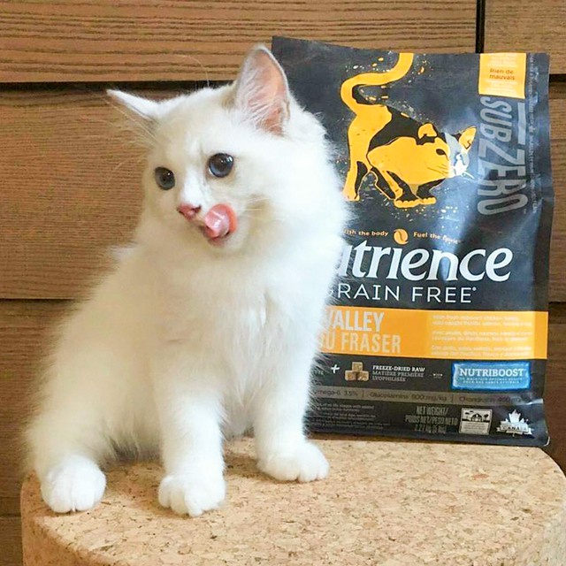Thức Ăn Hạt Nutrience Subzero Cho Mèo Mọi Lứa Tuổi