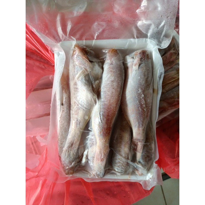 cá phèn hồng 1 nắng thơm ngon bổ dưỡng 1kg